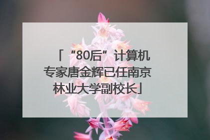 “80后”计算机专家唐金辉已任南京林业大学副校长