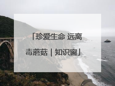 珍爱生命 远离毒蘑菇｜知识窗