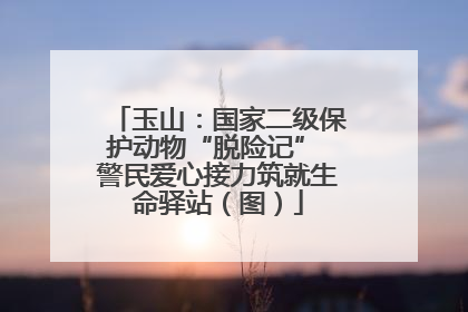 玉山：国家二级保护动物“脱险记” 警民爱心接力筑就生命驿站（图）