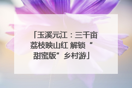 玉溪元江：三千亩荔枝映山红 解锁“甜蜜版”乡村游