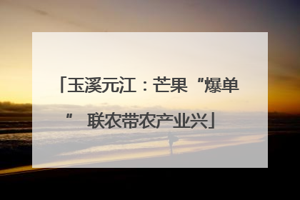 玉溪元江：芒果“爆单” 联农带农产业兴