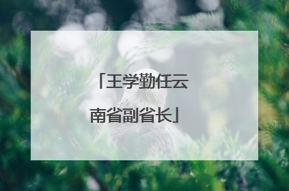 王学勤任云南省副省长
