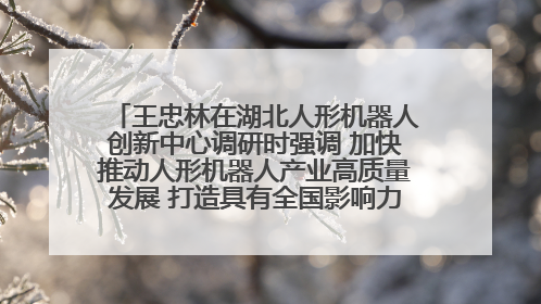 王忠林在湖北人形机器人创新中心调研时强调 加快推动人形机器人产业高质量发展 打造具有全国影响力的研发创新基地
