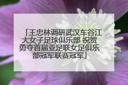 王忠林调研武汉车谷江大女子足球俱乐部 祝贺勇夺首届亚足联女足俱乐部冠军联赛冠军