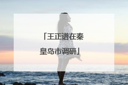 王正谱在秦皇岛市调研