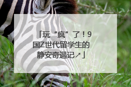 玩“疯”了！9国Z世代留学生的静安奇遇记↗