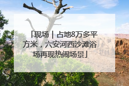 现场｜占地8万多平方米，六安河西沙滩浴场再现热闹场景