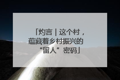 灼言｜这个村，蕴藏着乡村振兴的“留人”密码