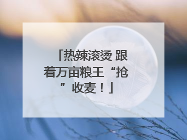 热辣滚烫 跟着万亩粮王“抢”收麦！