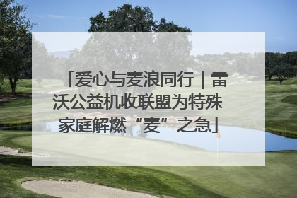 爱心与麦浪同行｜雷沃公益机收联盟为特殊家庭解燃“麦”之急