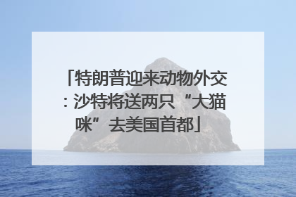 特朗普迎来动物外交：沙特将送两只“大猫咪”去美国首都