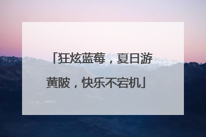狂炫蓝莓，夏日游黄陂，快乐不宕机