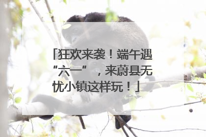 狂欢来袭！端午遇“六一”，来蔚县无忧小镇这样玩！