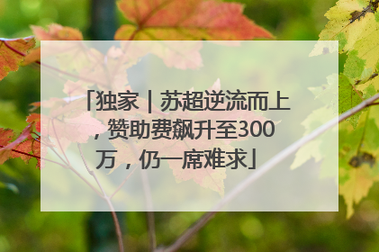 独家｜苏超逆流而上，赞助费飙升至300万，仍一席难求