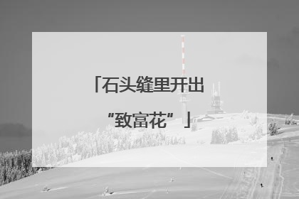 石头缝里开出“致富花”
