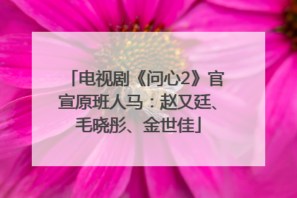 电视剧《问心2》官宣原班人马：赵又廷、毛晓彤、金世佳