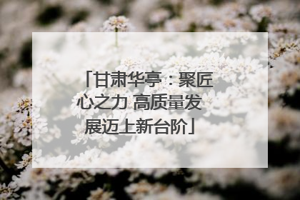 甘肃华亭：聚匠心之力 高质量发展迈上新台阶
