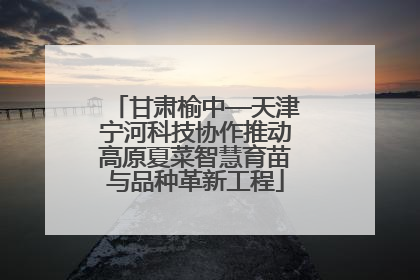 甘肃榆中—天津宁河科技协作推动高原夏菜智慧育苗与品种革新工程