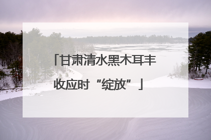 甘肃清水黑木耳丰收应时“绽放”