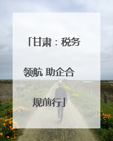 甘肃：税务领航 助企合规前行