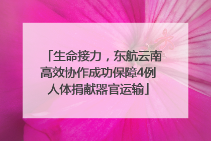 生命接力，东航云南高效协作成功保障4例人体捐献器官运输