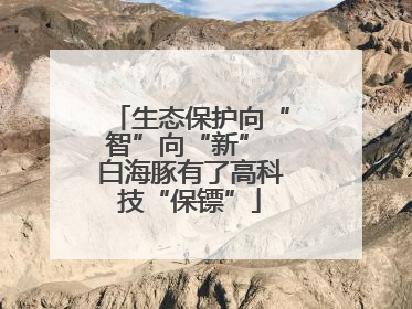 生态保护向“智”向“新” 白海豚有了高科技“保镖”