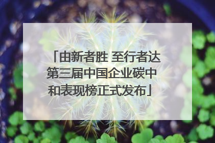 由新者胜 至行者达 第三届中国企业碳中和表现榜正式发布
