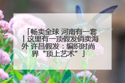 畅卖全球 河南有一套丨这里有一顶假发俏卖海外 许昌假发：编织时尚界“顶上艺术”