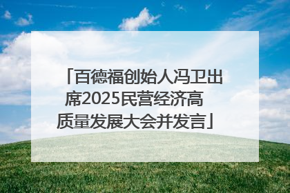 百德福创始人冯卫出席2025民营经济高质量发展大会并发言