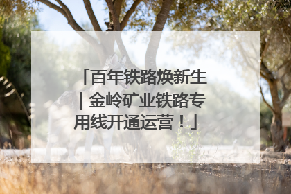 百年铁路焕新生｜金岭矿业铁路专用线开通运营！