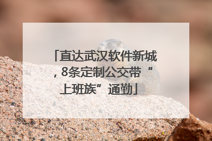 直达武汉软件新城，8条定制公交带“上班族”通勤