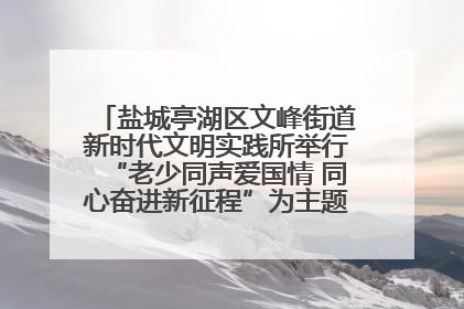 盐城亭湖区文峰街道新时代文明实践所举行“老少同声爱国情 同心奋进新征程”为主题的红色文化活动