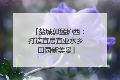 盐城郭猛护西：打造宜居宜业水乡田园新美景