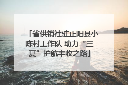 省供销社驻正阳县小陈村工作队 助力“三夏”护航丰收之路