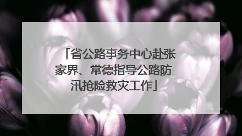 省公路事务中心赴张家界、常德指导公路防汛抢险救灾工作
