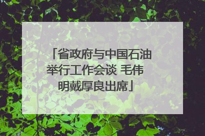 省政府与中国石油举行工作会谈 毛伟明戴厚良出席