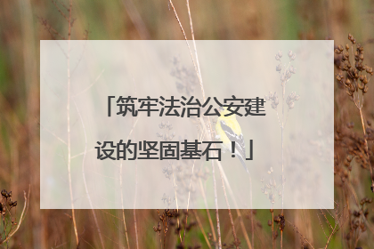 筑牢法治公安建设的坚固基石！
