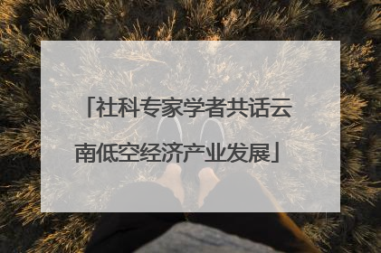 社科专家学者共话云南低空经济产业发展