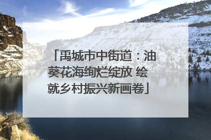 禹城市中街道：油葵花海绚烂绽放 绘就乡村振兴新画卷