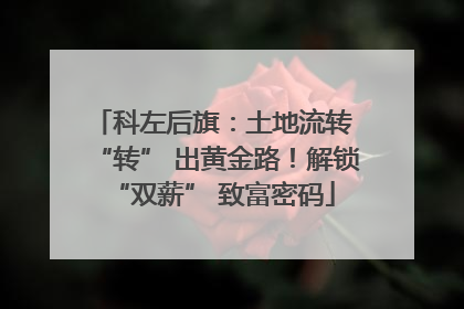 科左后旗：土地流转 “转” 出黄金路！解锁 “双薪” 致富密码