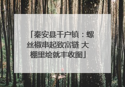 秦安县千户镇：螺丝椒串起致富链 大棚里绘就丰收图