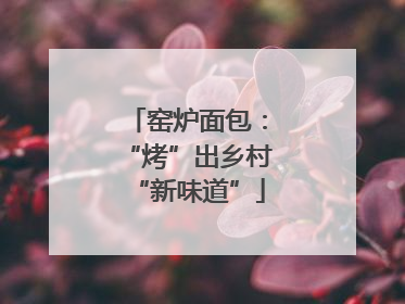 窑炉面包：“烤”出乡村“新味道”