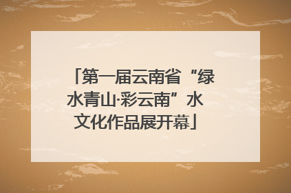 第一届云南省“绿水青山·彩云南”水文化作品展开幕