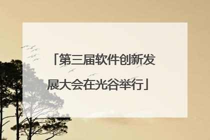 第三届软件创新发展大会在光谷举行