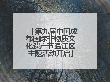 第九届中国成都国际非物质文化遗产节温江区主题活动开启