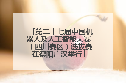 第二十七届中国机器人及人工智能大赛（四川赛区）选拔赛在德阳广汉举行