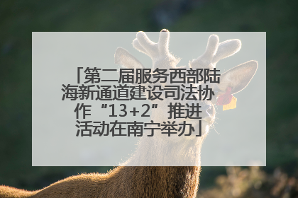 第二届服务西部陆海新通道建设司法协作“13+2”推进活动在南宁举办