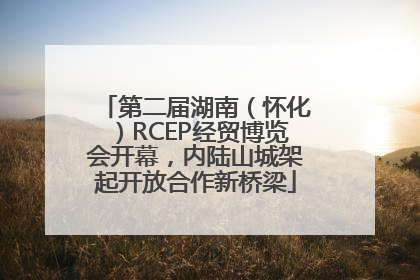 第二届湖南（怀化）RCEP经贸博览会开幕，内陆山城架起开放合作新桥梁