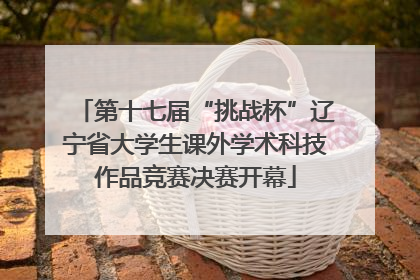 第十七届“挑战杯”辽宁省大学生课外学术科技作品竞赛决赛开幕