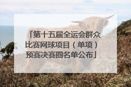 第十五届全运会群众比赛网球项目（单项）预赛决赛圈名单公布
